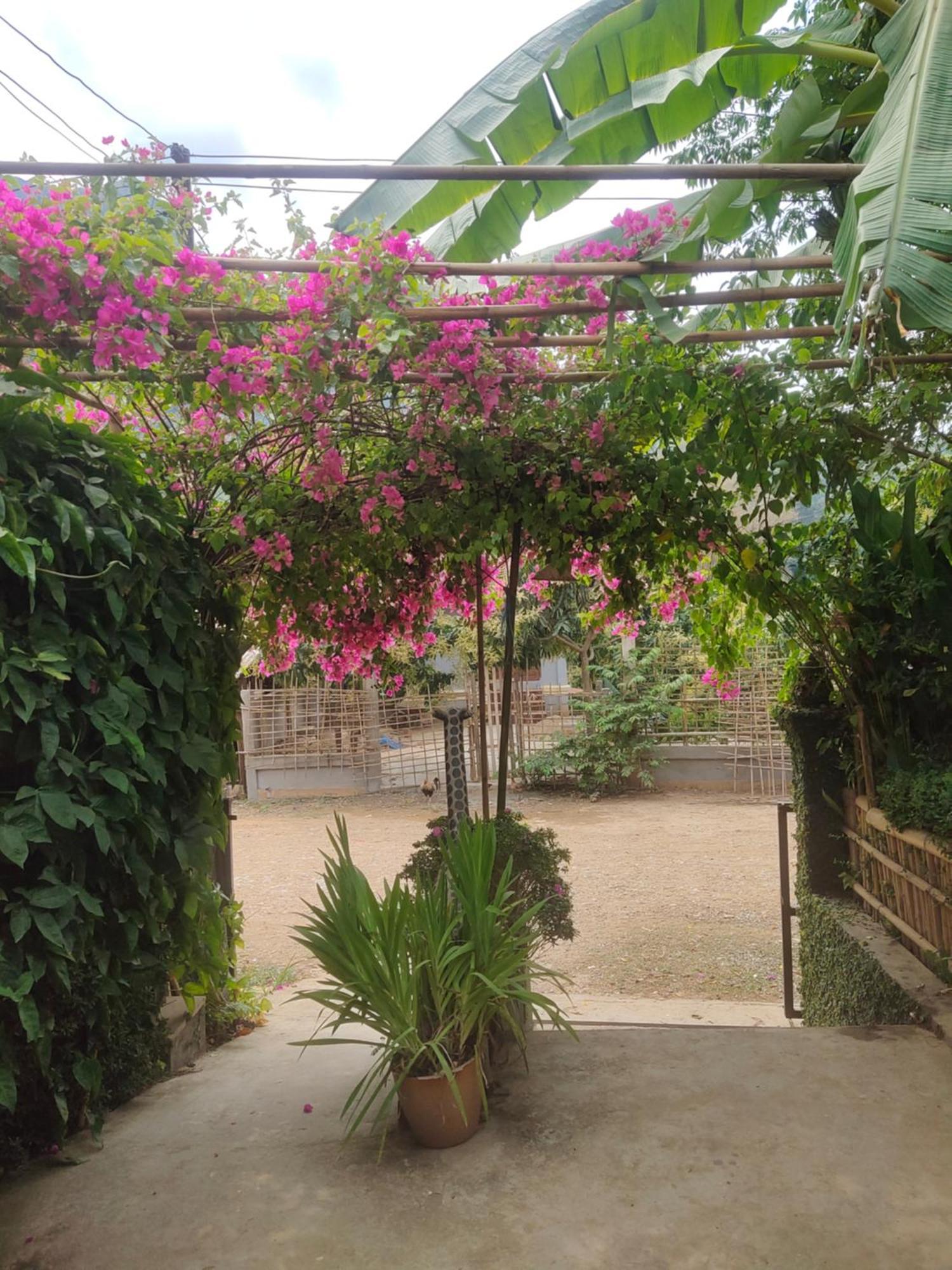 Meexok Guesthouse Nongkhiaw Esterno foto